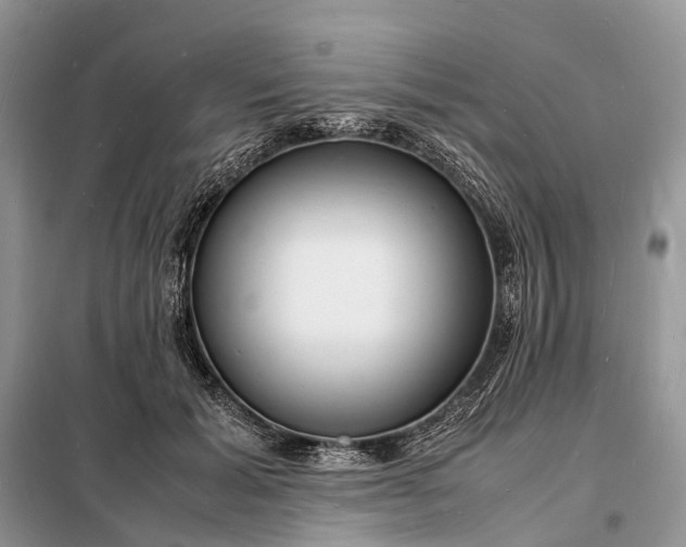 X0000098220605200805081200