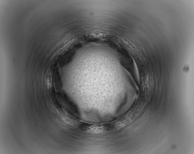 X0000098220606200805081200