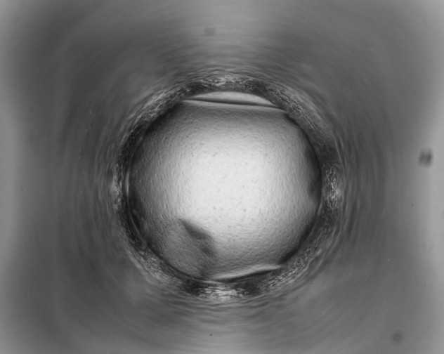 X0000098220607200805081200