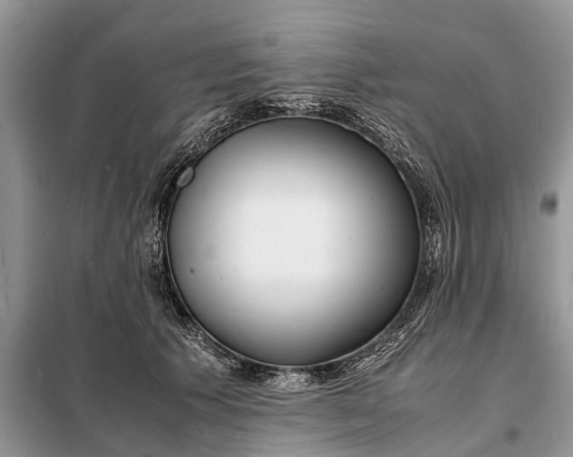 X0000098220609200805081200