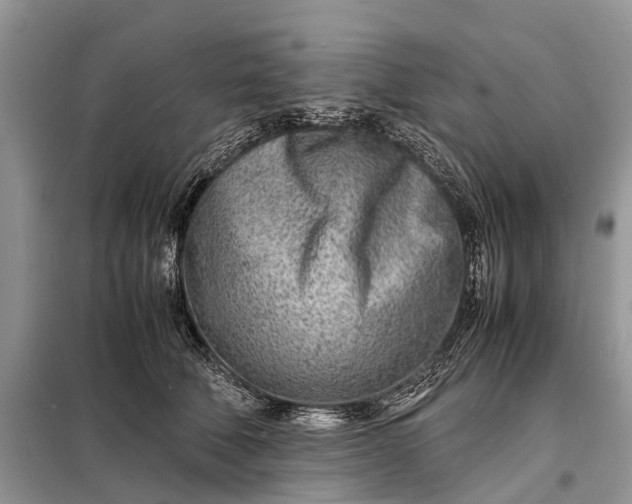 X0000098220610200805081159