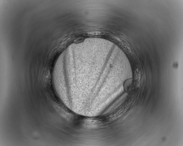 X0000098220614200805081159