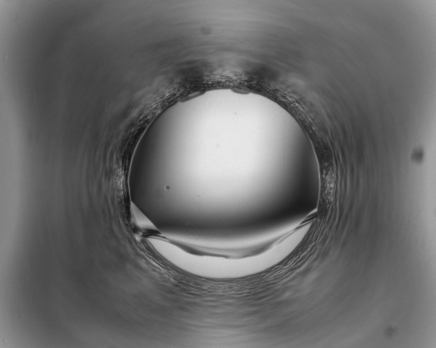 X0000098220617200805081159