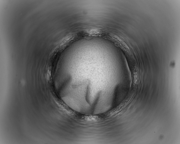 X0000098220618200805081159