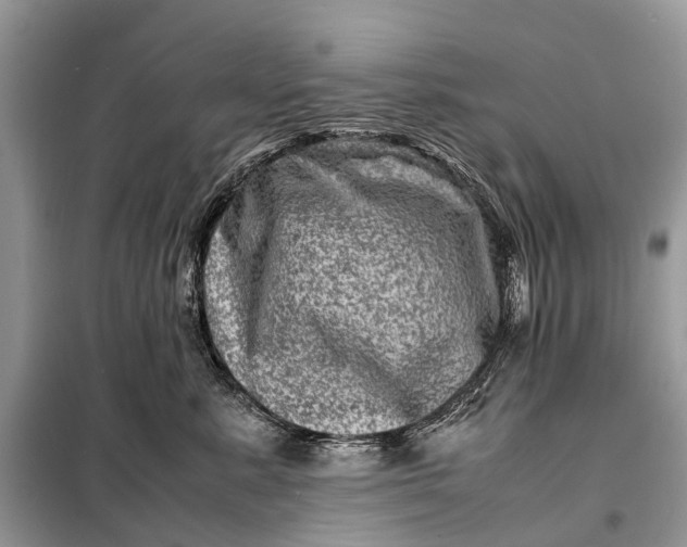 X0000098220619200805081159