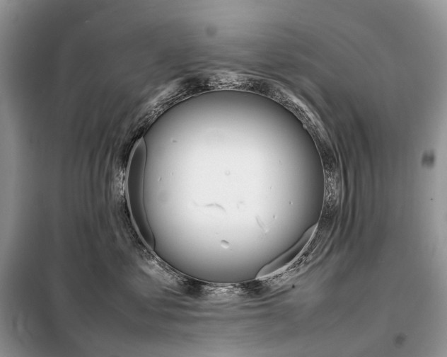 X0000098220621200805081159