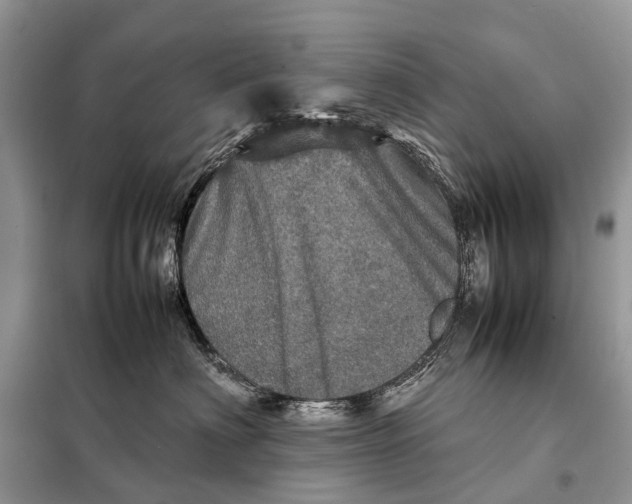 X0000098220622200805081159