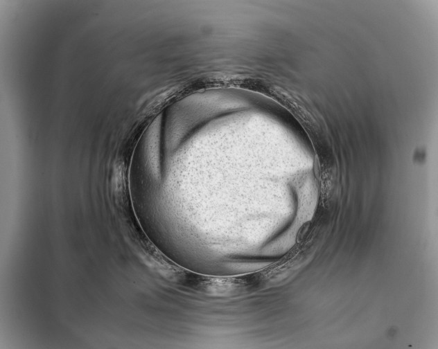 X0000098220623200805081159