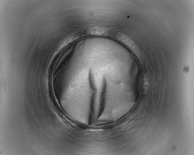 X0000098220626200805081159