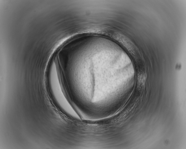 X0000098220628200805081159