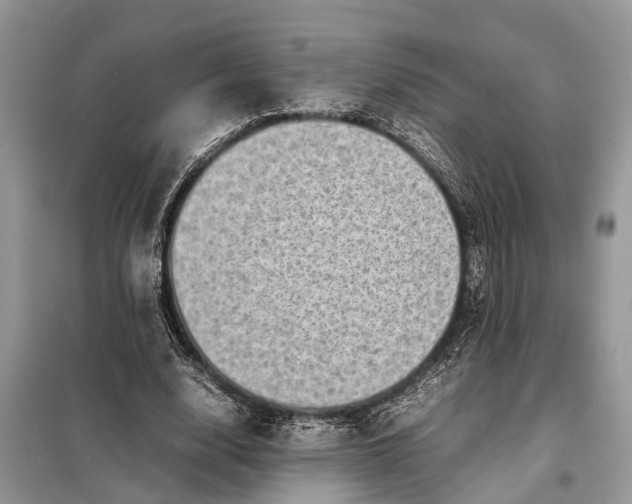 X0000098220632200805081159