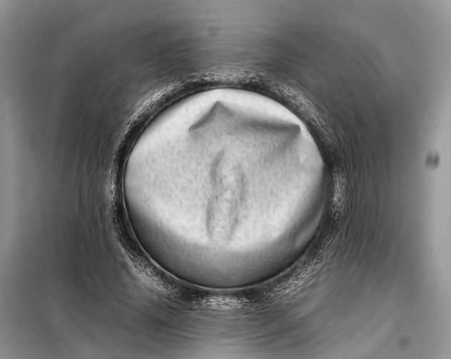 X0000098220636200805081159