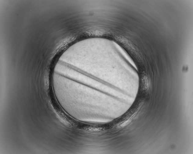 X0000098220638200805081159