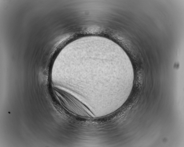 X0000098220640200805081159