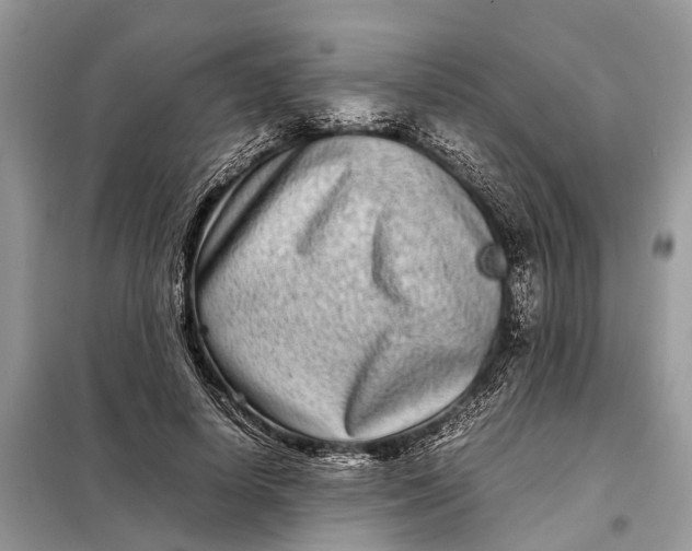 X0000098220642200805081159