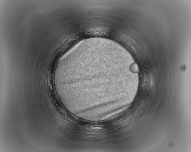 X0000098220643200805081159