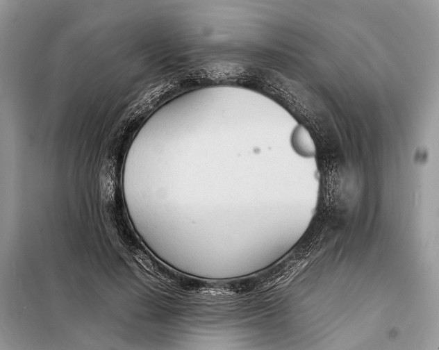 X0000098220644200805081159