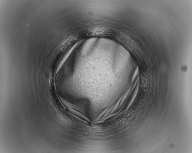 X0000098220648200805081159