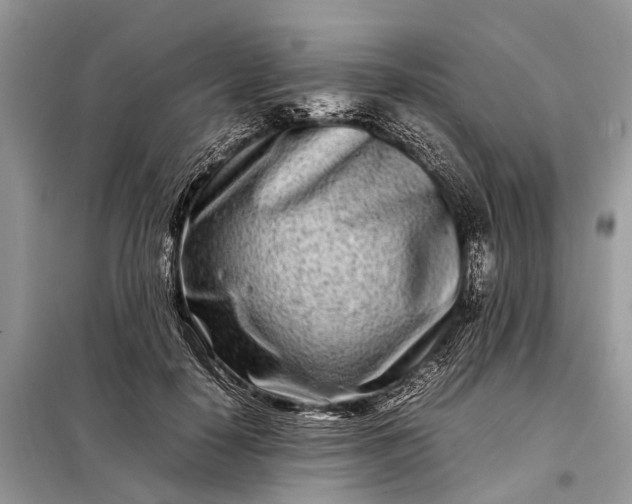 X0000098220650200805081159