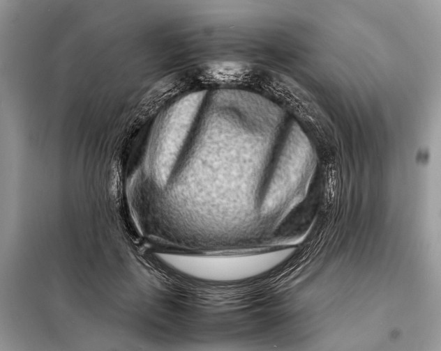 X0000098220651200805081159