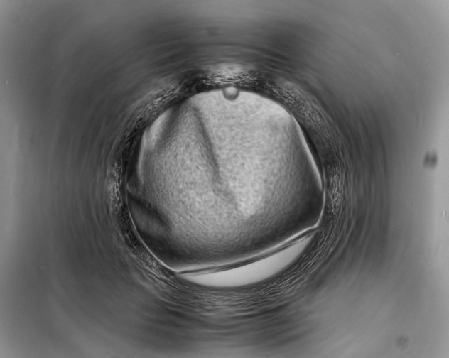 X0000098220653200805081159