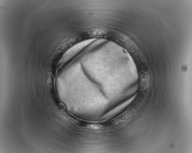 X0000098220654200805081159