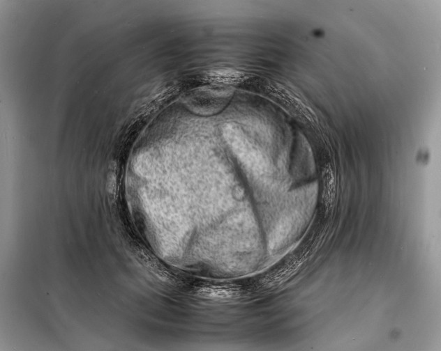 X0000098220655200805081159