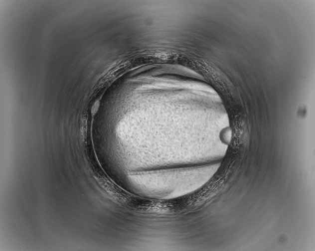 X0000098220656200805081159