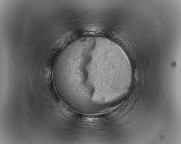 X0000098220657200805081159