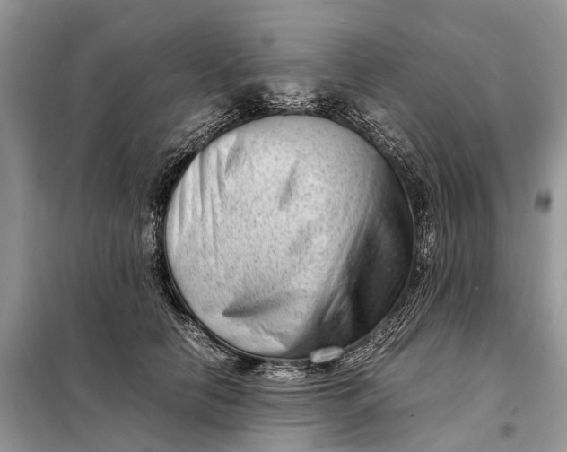 X0000098220658200805081159