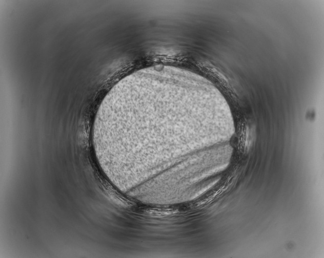 X0000098220661200805081159