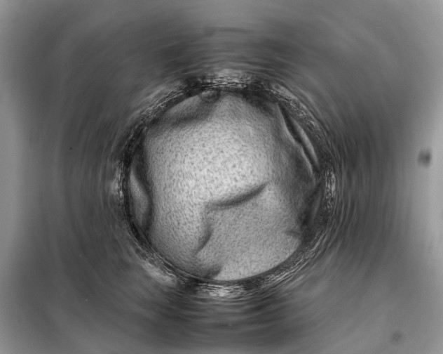 X0000098220663200805081159