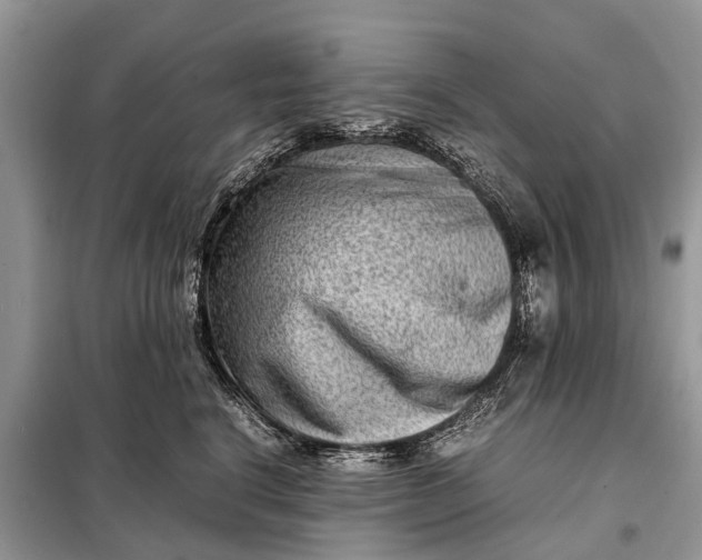 X0000098220664200805081159