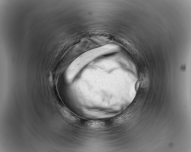 X0000098220670200805081159