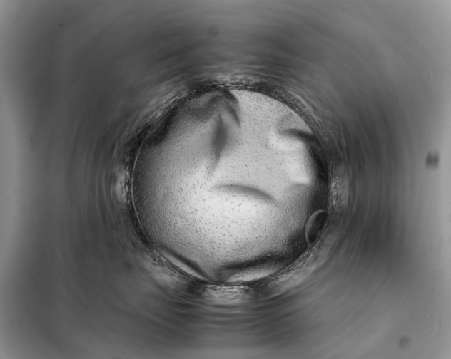 X0000098220671200805081159