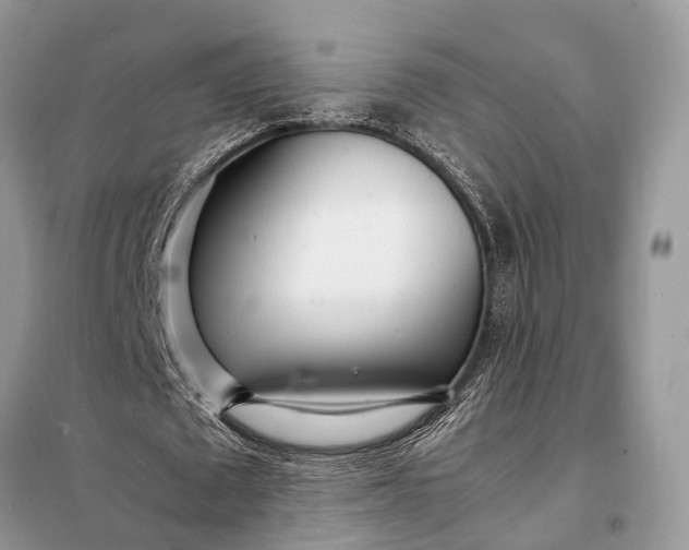 X0000098220673200805081159