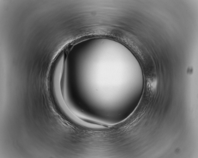 X0000098220676200805081159