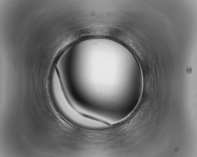 X0000098220677200805081159