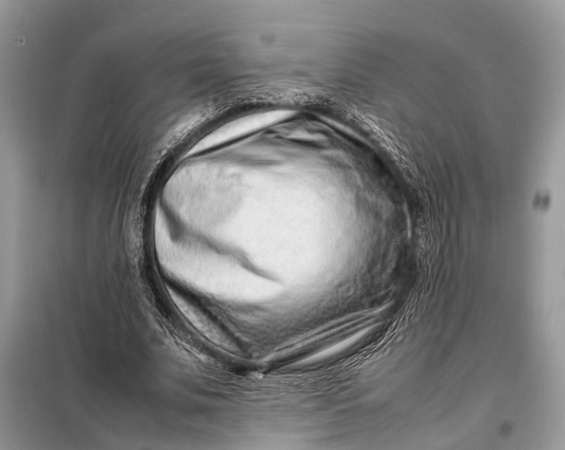 X0000098220679200805081159