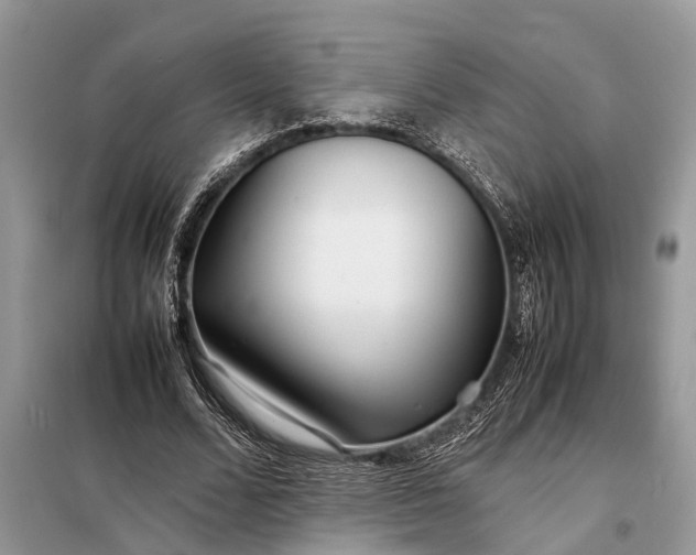 X0000098220680200805081159