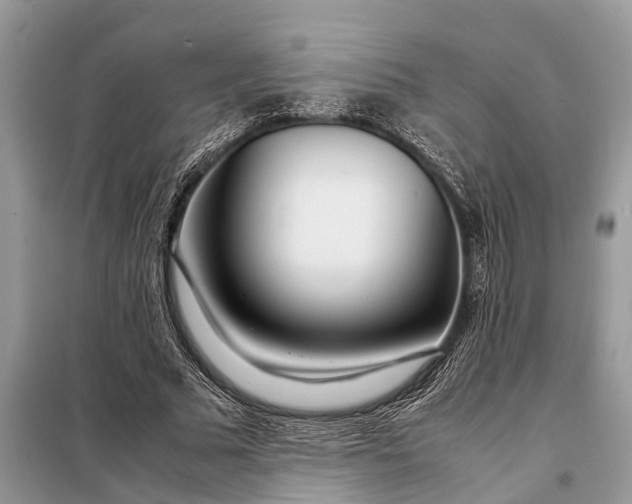 X0000098220681200805081158