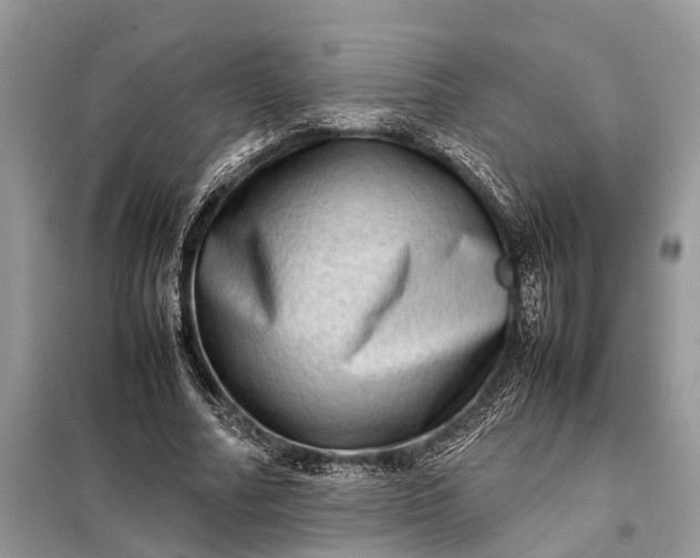 X0000098220682200805081158