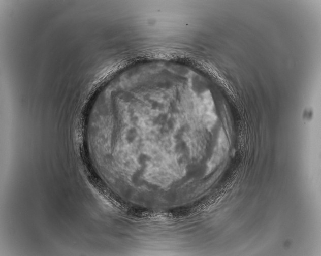 X0000098220683200805081158