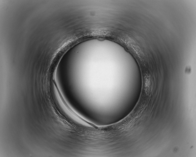 X0000098220684200805081158