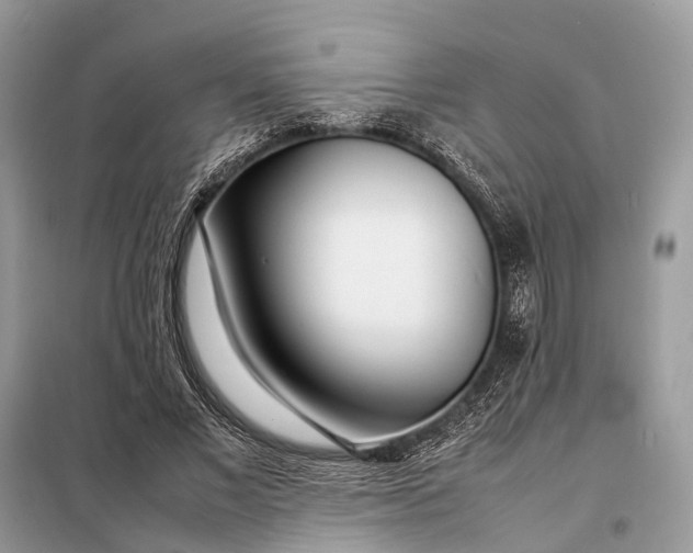 X0000098220685200805081158