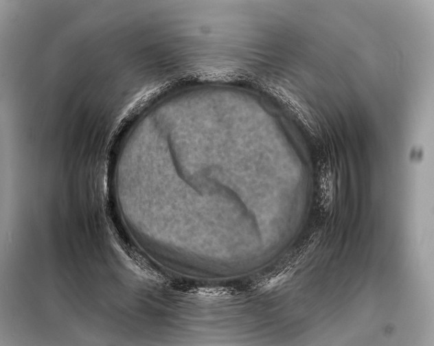 X0000098220686200805081158