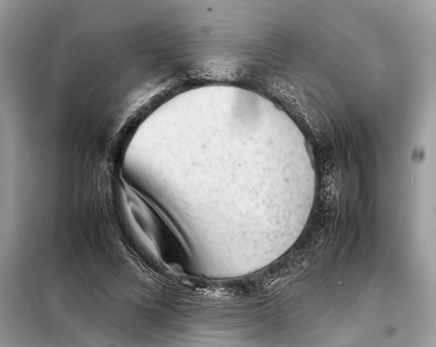 X0000098220688200805081158