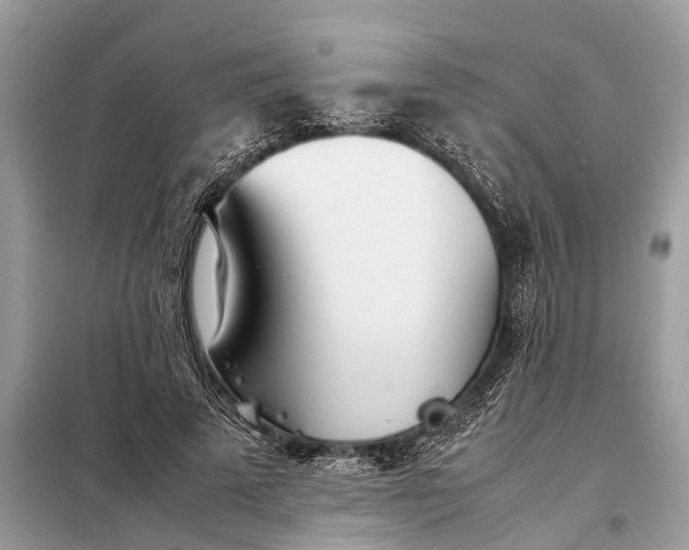 X0000098220689200805081158