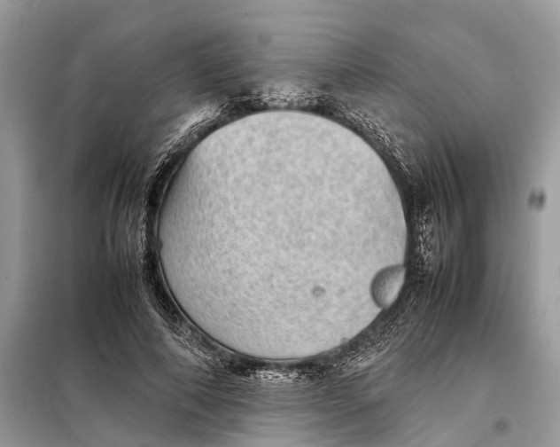 X0000098220690200805081158