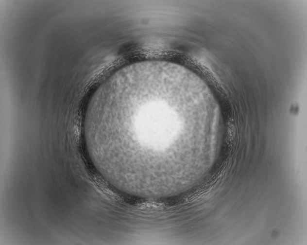 X0000098220691200805081158